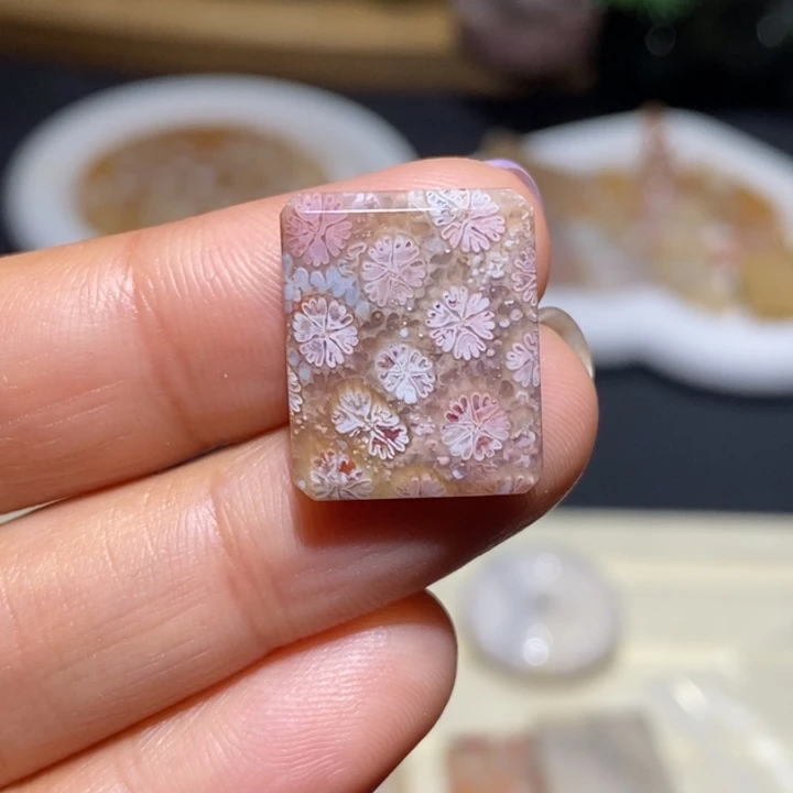 【闪购商品】未镶嵌珊瑚玉硅化玉