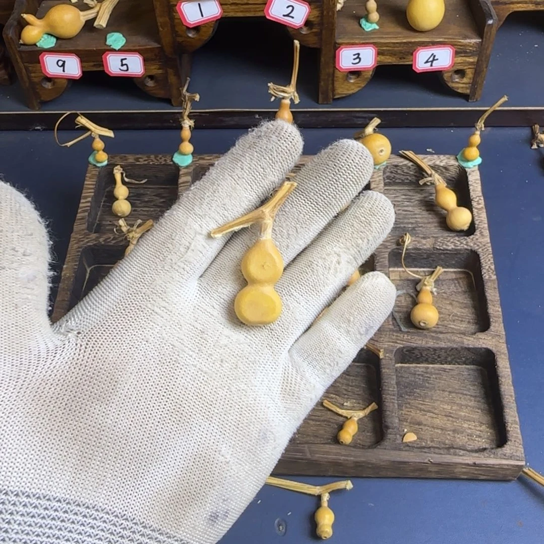 W**s我是一只小小鸟地域鬼的人生