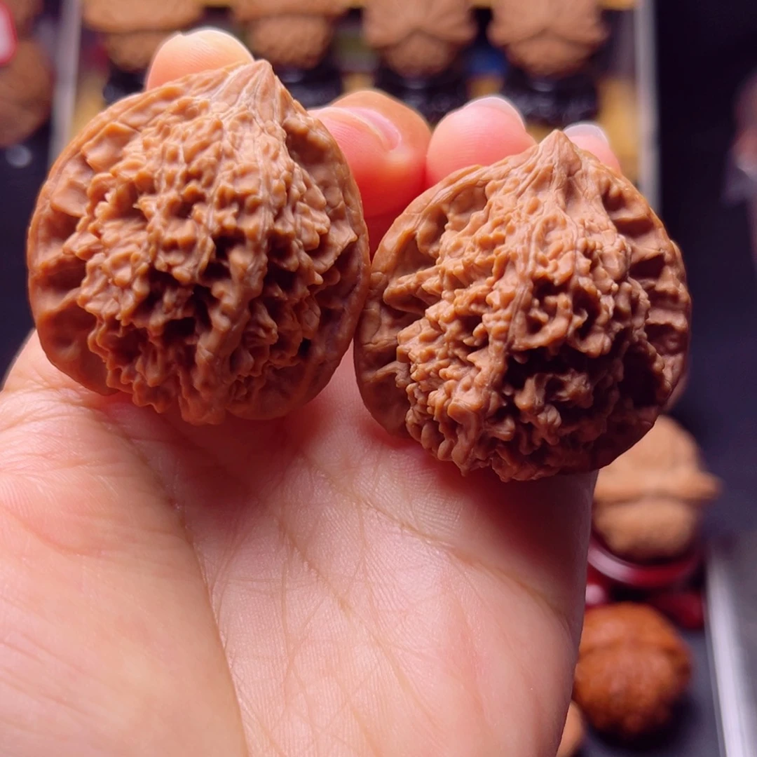 木质类老树红皮满天星