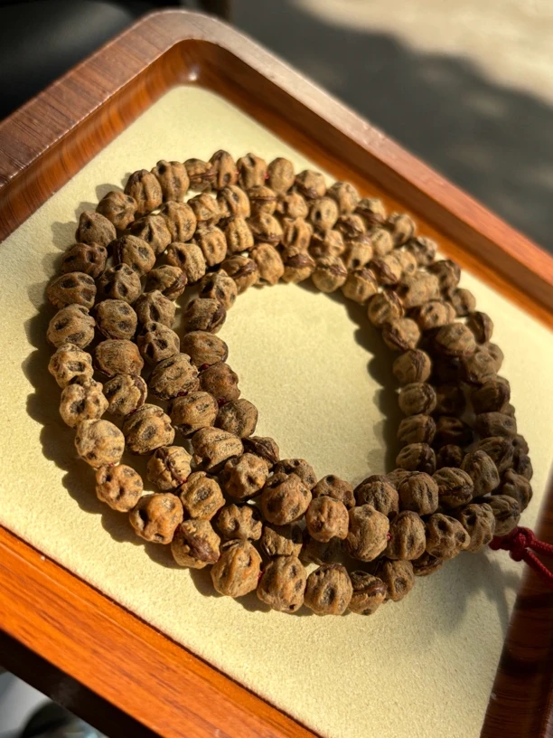 热振柏香籽「醉安」异形红芽侧打满坑鬼脸巨狂野108长串