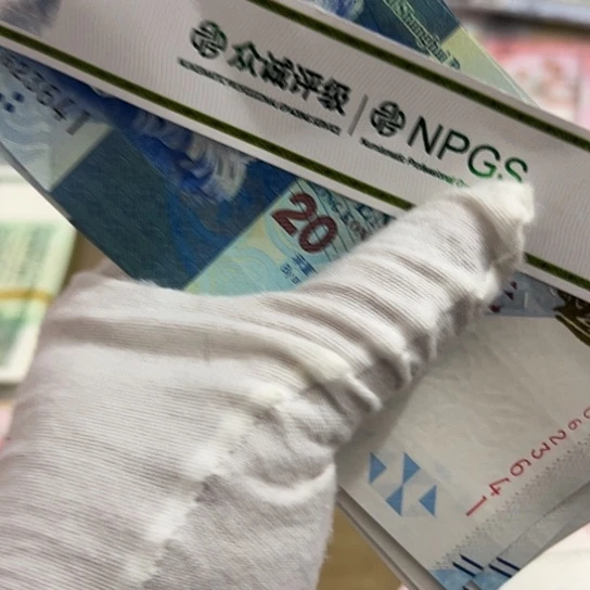 纸海**岛十连41正品保真全新
