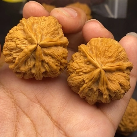 文玩核桃把件38尺异形