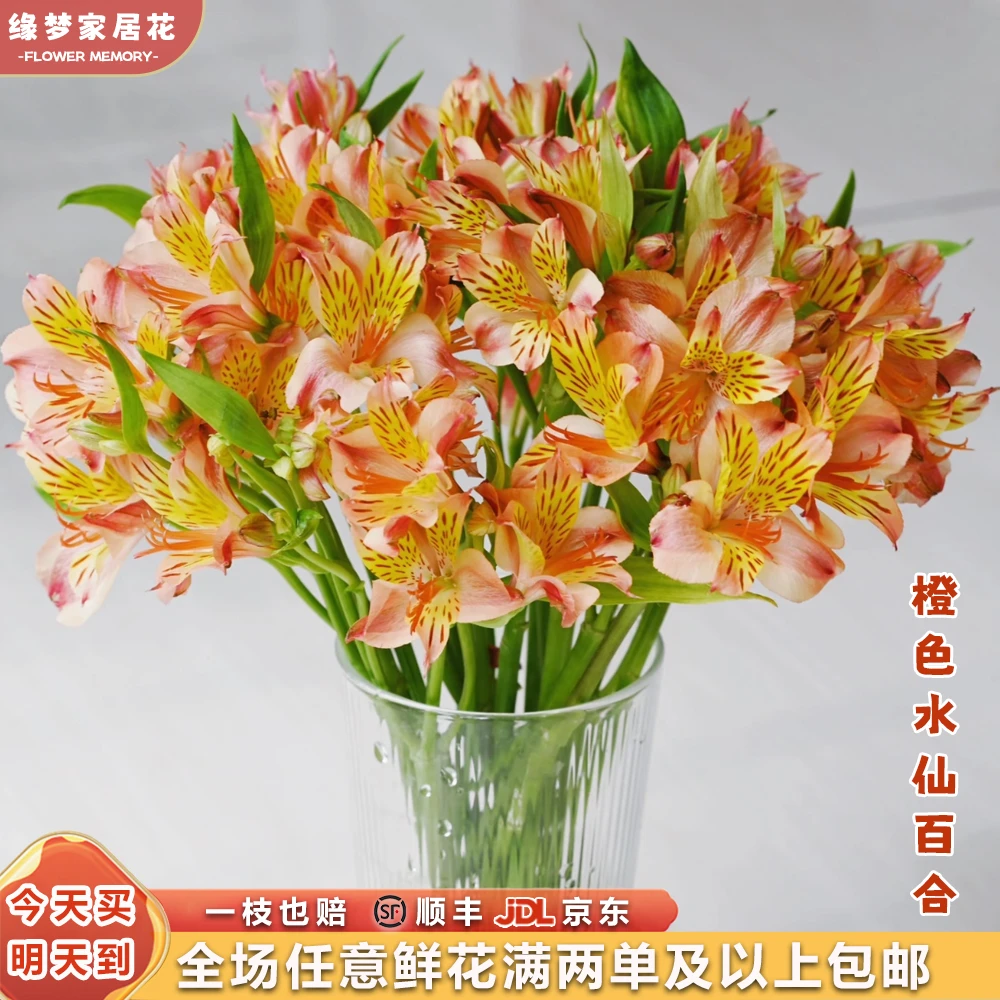 平安健康『橙色水仙百合10枝』 全场任意满两单及以上鲜花 顺丰京东包邮发货 满三单鲜花还送花瓶一个