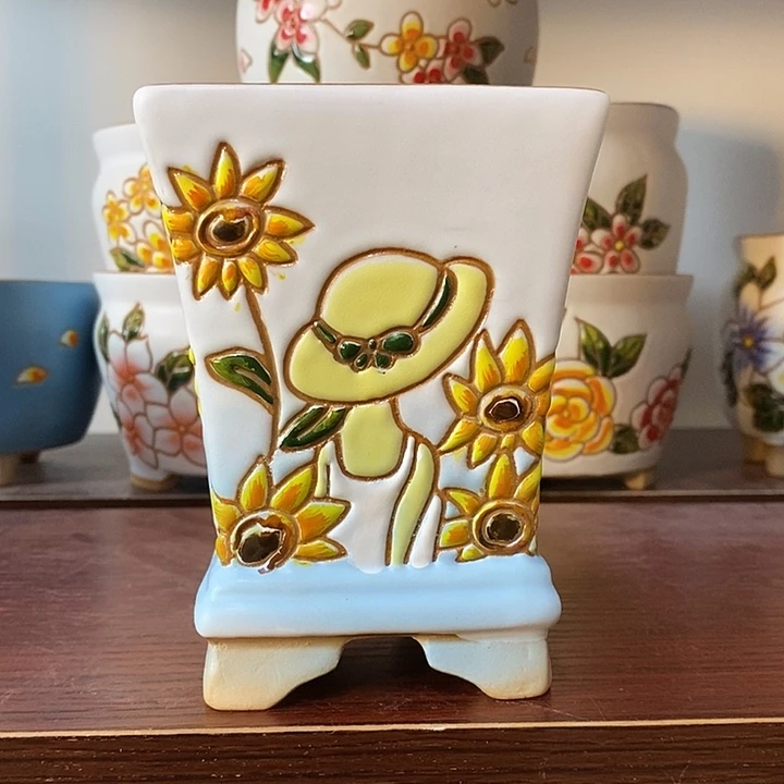 韩式多肉植物花盆