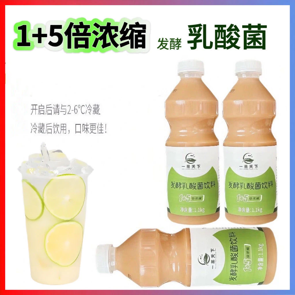 一茶天下乳酸菌1.1kg浓缩养乐多益菌多益力多发酵乳酸菌奶茶