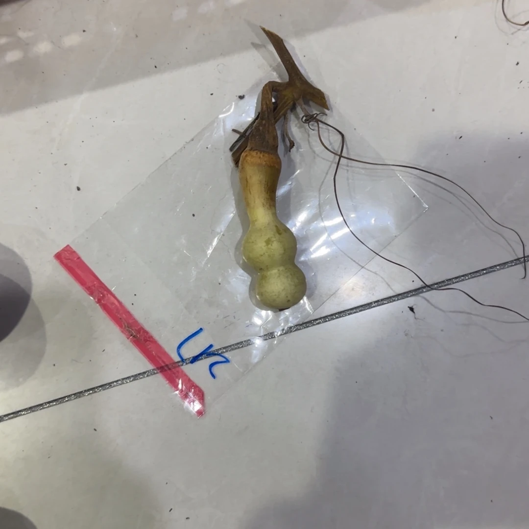 惊***蛰青皮不包成功不拆盒的我都可以