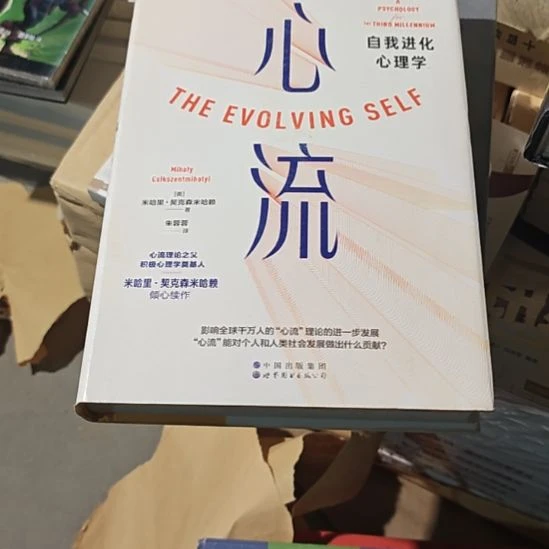 心流精装库存书微瑕务必塑封