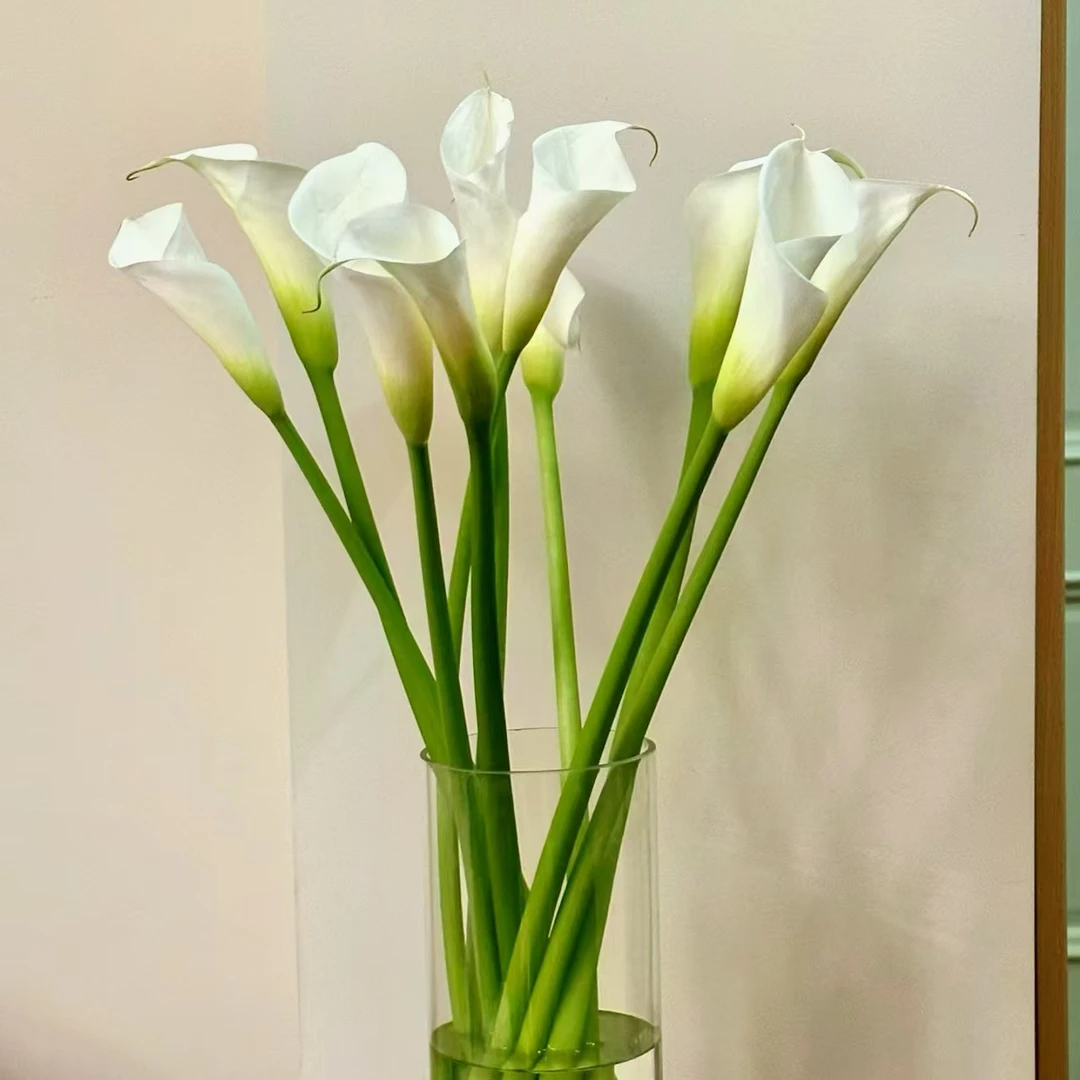 白色马蹄莲家庭室内装饰水养鲜花云南基地直发