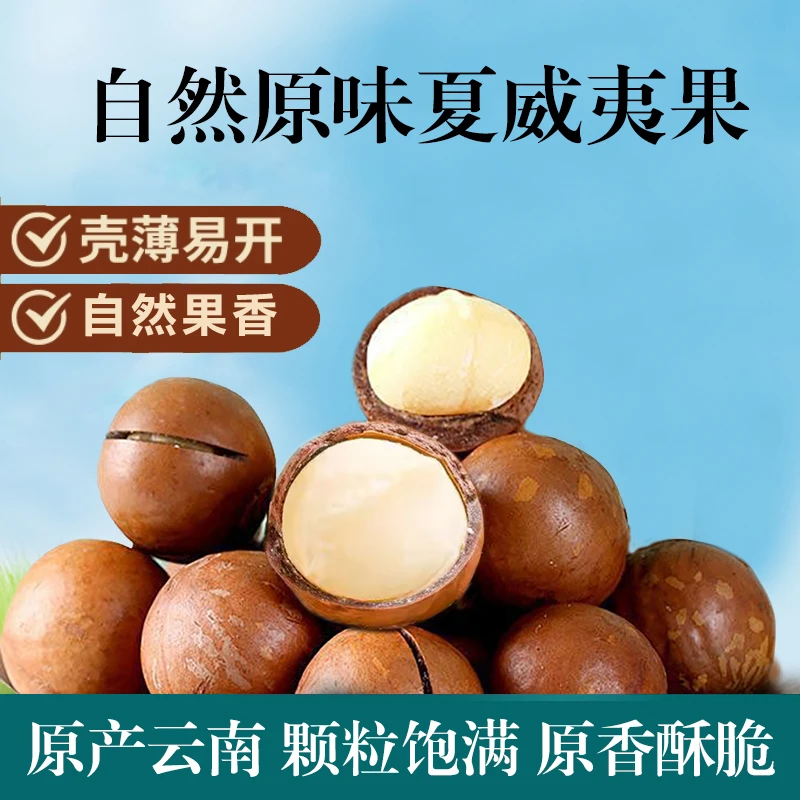 到手【3斤】夏威夷果澳洲坚果云南特产新果送开口器