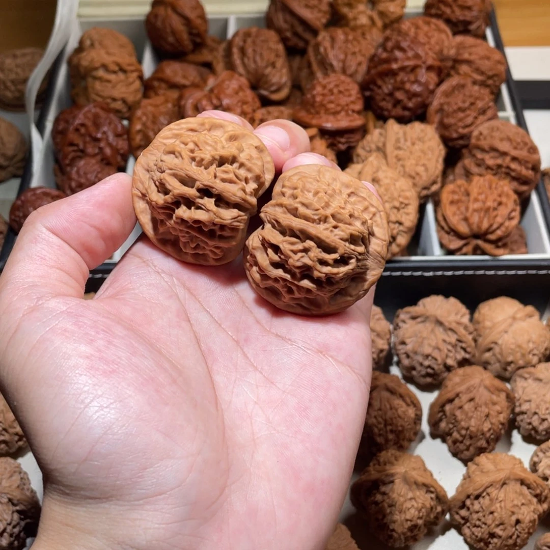 小***骨43全品天地狮子头