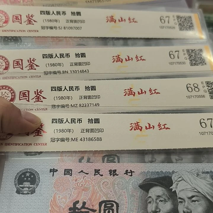 8010满山红五枚(新号开播专属价)