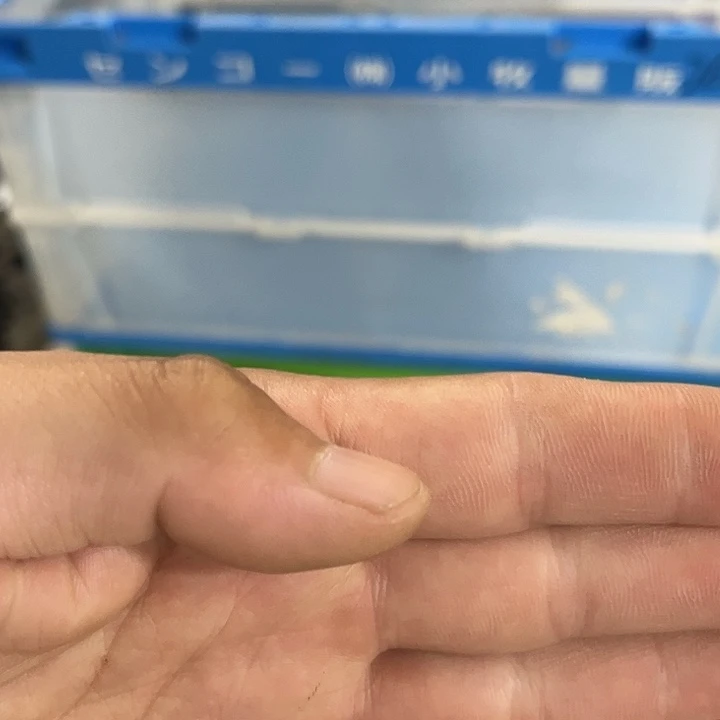 沉***世厚款不带盖子箱子一个