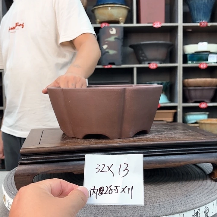 紫砂花盆紫砂的花也太