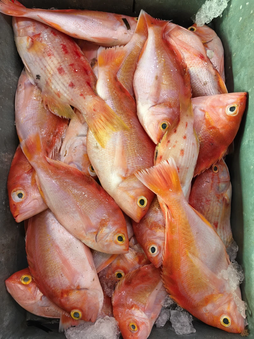 金菠萝【直播现称】 新鲜现称冷运到家