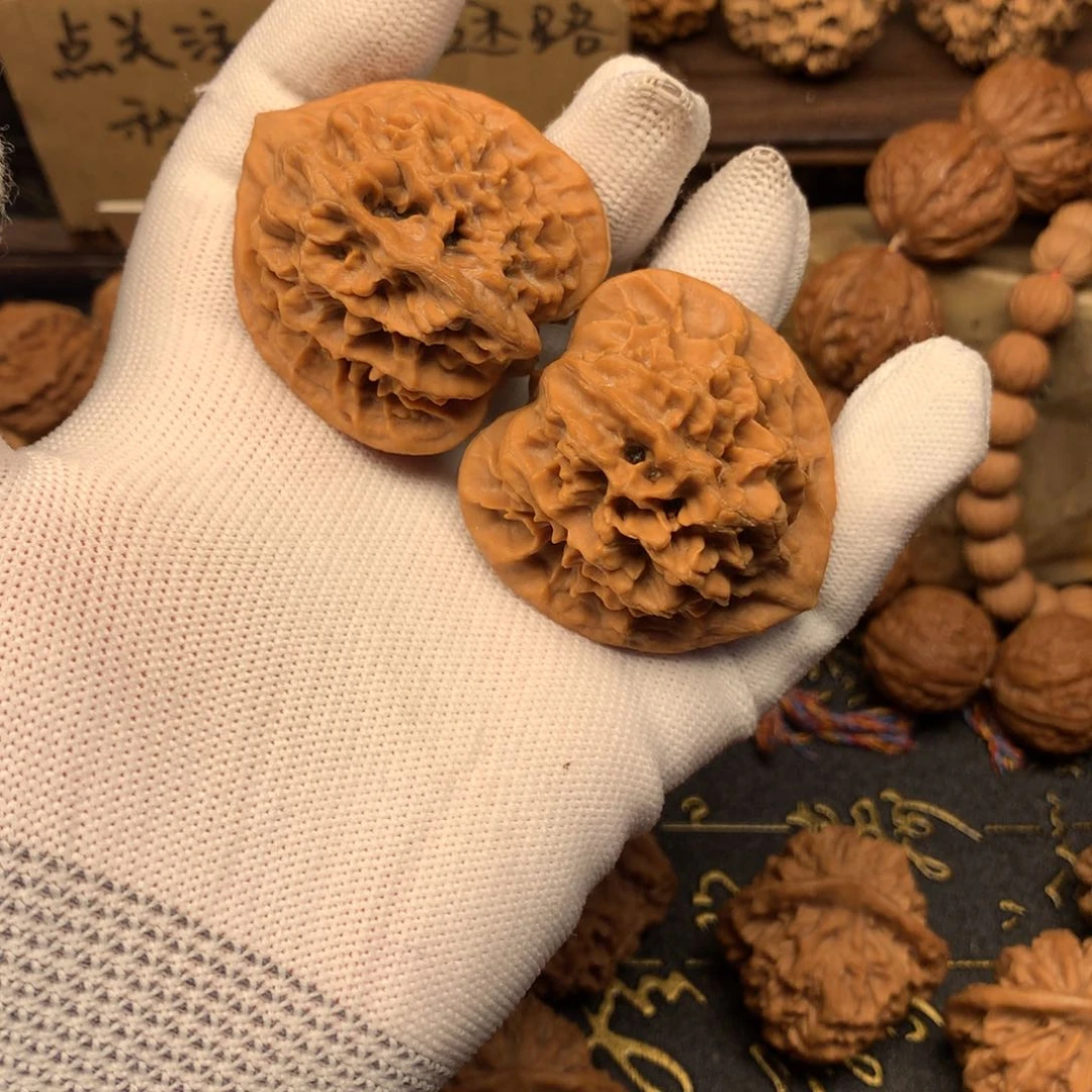 赛**生42尺秦岭野生帝王官帽