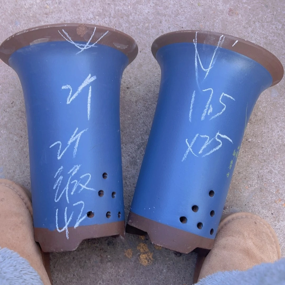 紫砂42…………………………