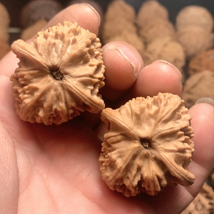 【闪购商品】金*指红狮子
