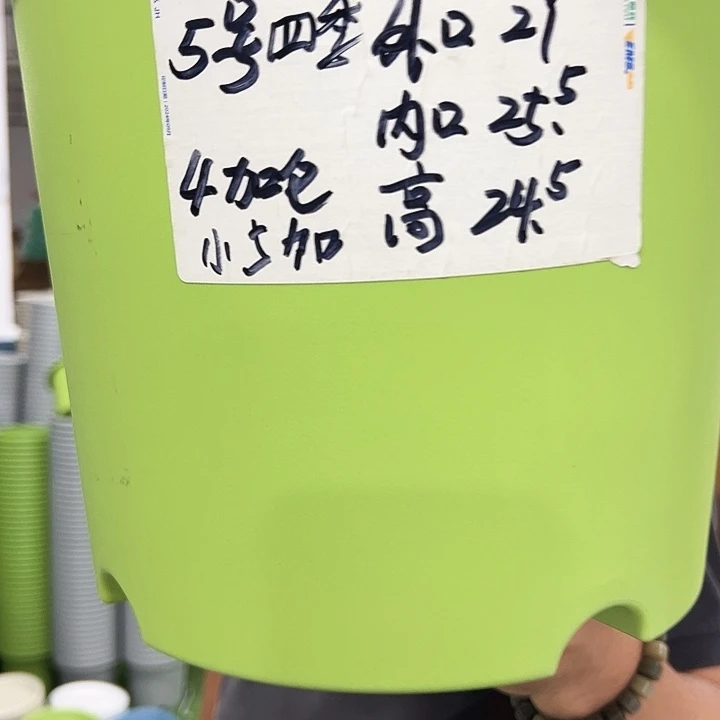 特价5号四季口29高24混色5个无托