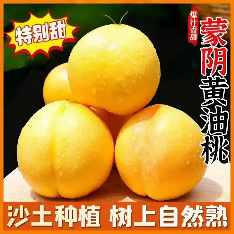 Y（顺丰包邮）新鲜黄油桃现摘现卖脆甜多汁应季水果黄油桃山东蒙阴