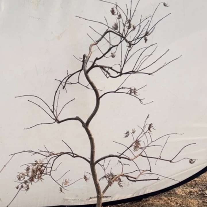 完全开放木架发货