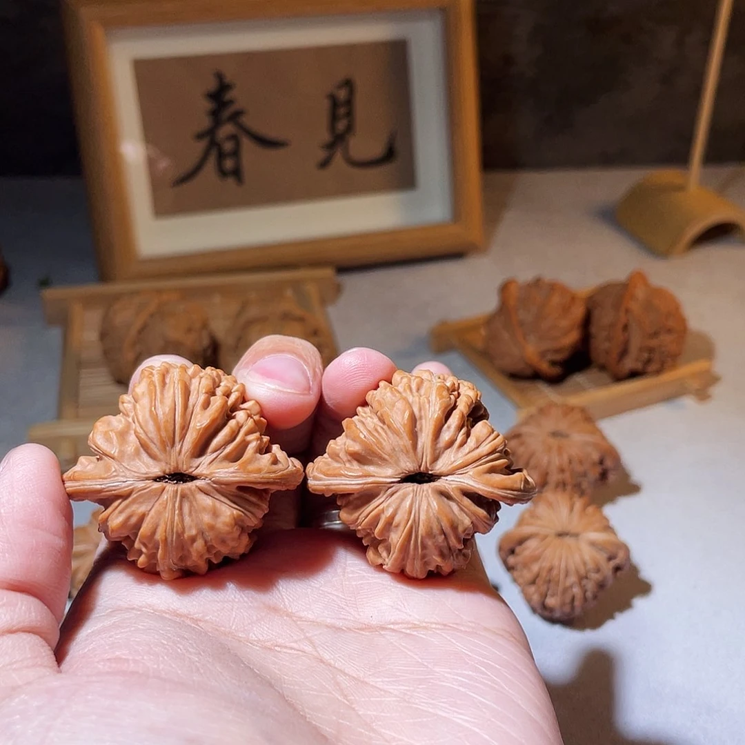 核桃手串/手链泽****）40汉高楼全品无修