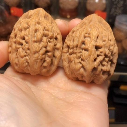 精品：原桩红锦鲤