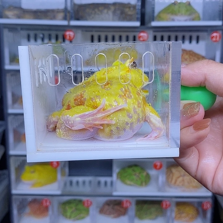 特价秒杀现货特价