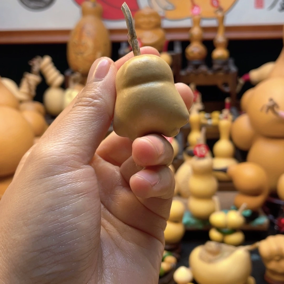 ?***飞大自然的秘密第十一节的