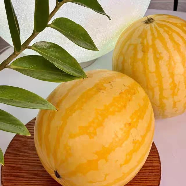 【果然好】金童小糖丸西瓜黄皮红壤新鲜现摘现发江苏省江苏省