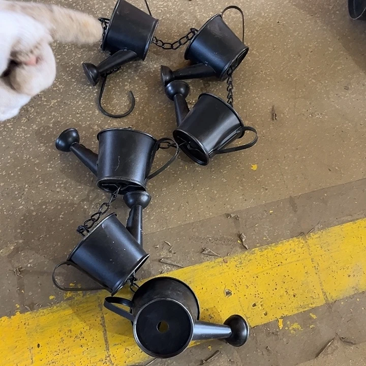 孤品可可爱爱哈哈哈哈