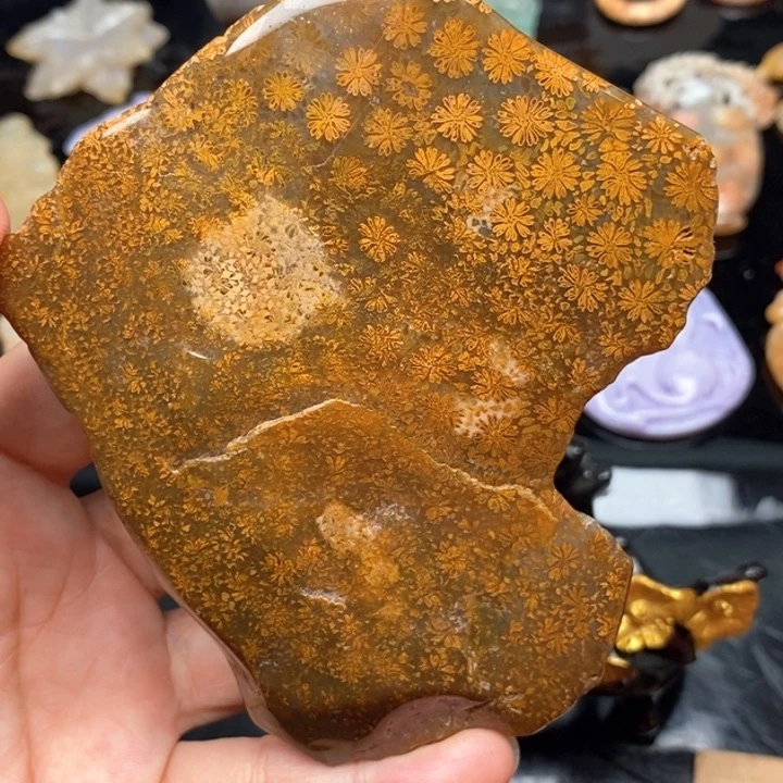 硅化珊瑚（珊瑚玉）手镯未镶嵌