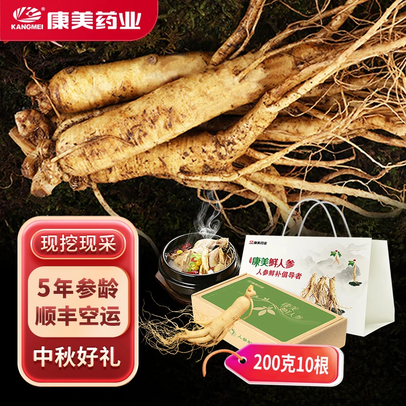 康美鲜人参 长白山现挖新鲜人参5年足龄参整支煲汤泡酒中秋送礼