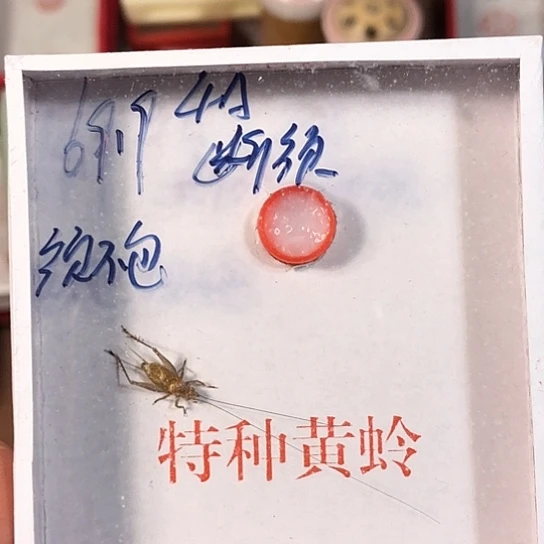 蒋***虹3333333333333333333