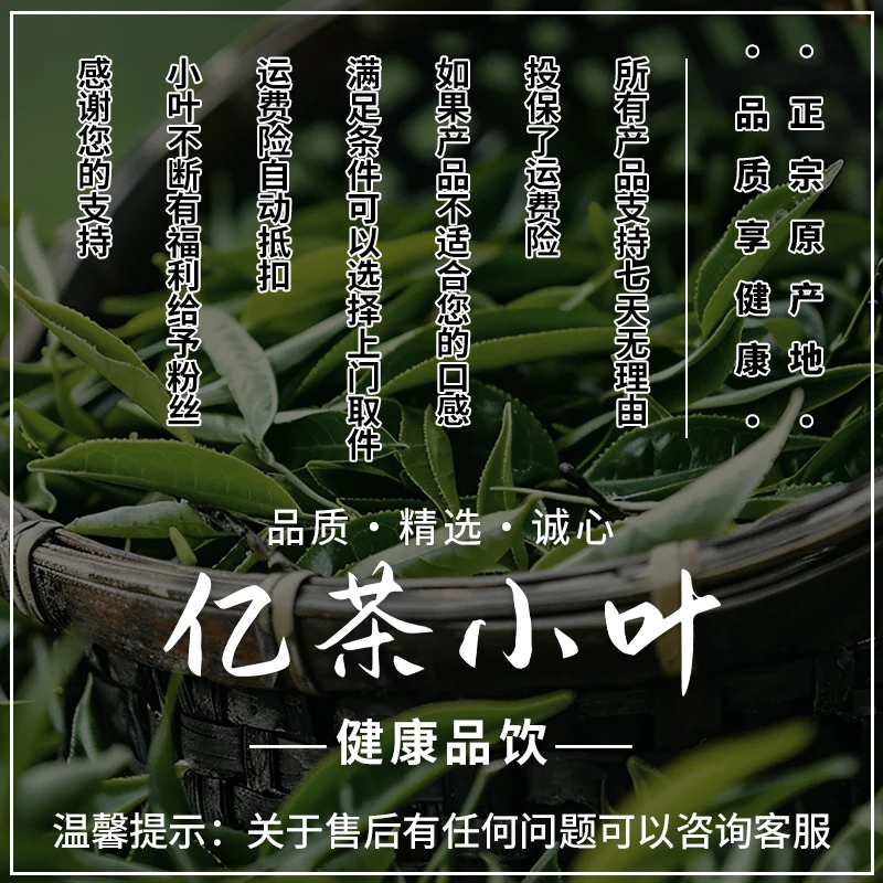 冰岛老寨黄精熟茶小方片-茶博会-黄金比例