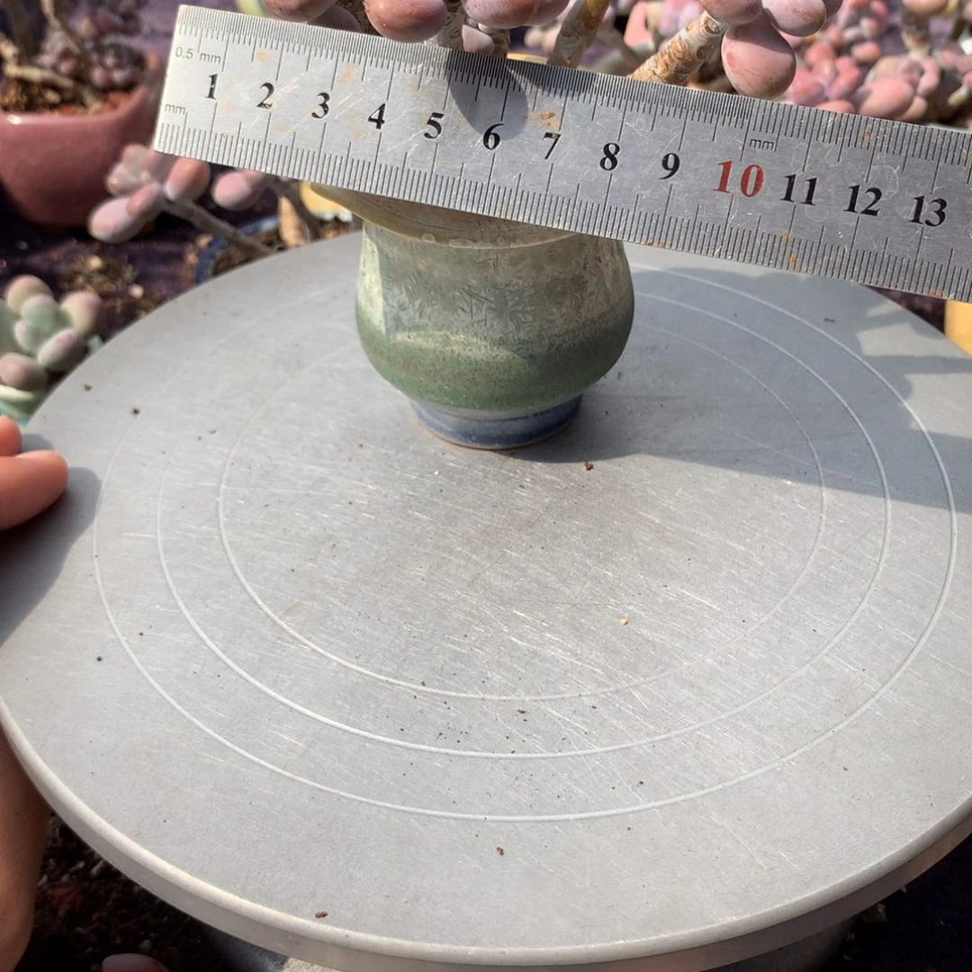 30号带盆偏远地区不包邮