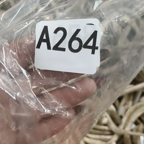 祥***和鹿角鹿角鹿角鹿角鹿角