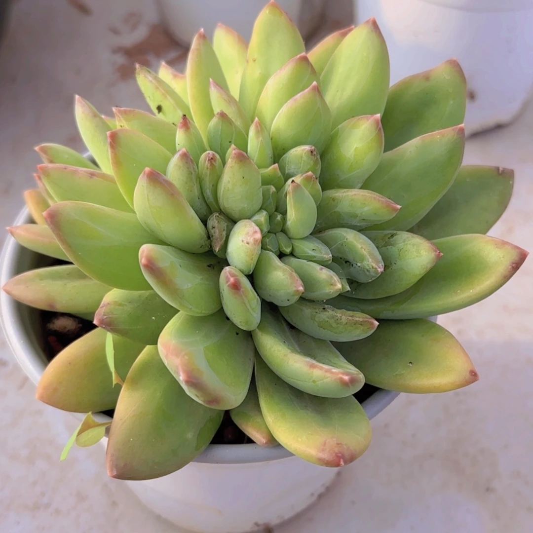 宋**宋宋福利11111111111