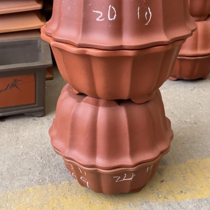 紫砂花盆只顾看电视