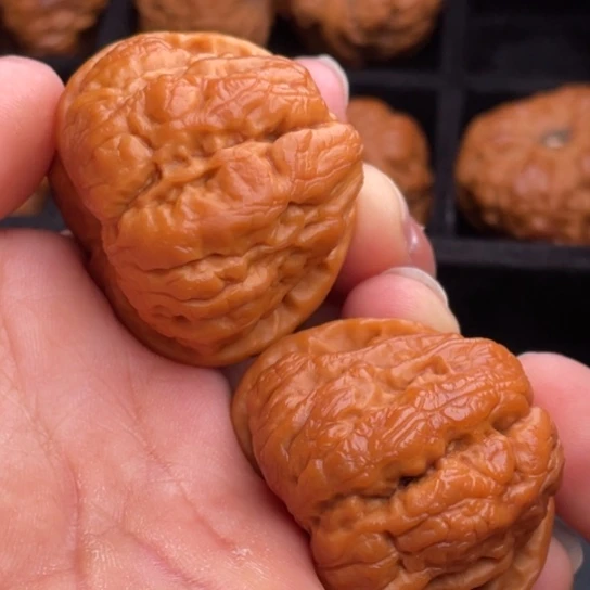 文玩核桃把件秦岭山脉核桃