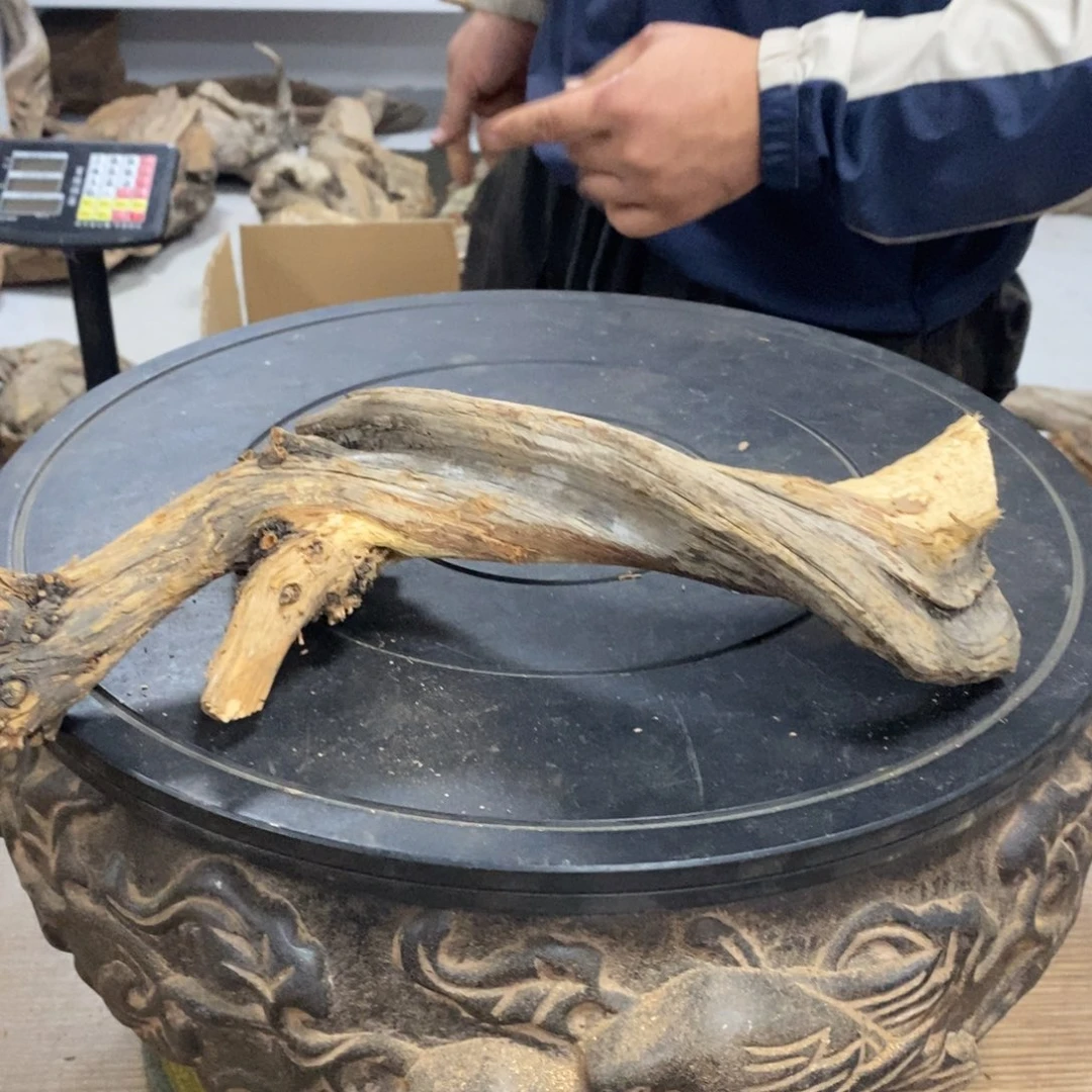 抹***抹柏木（崖柏）我们都是好孩子