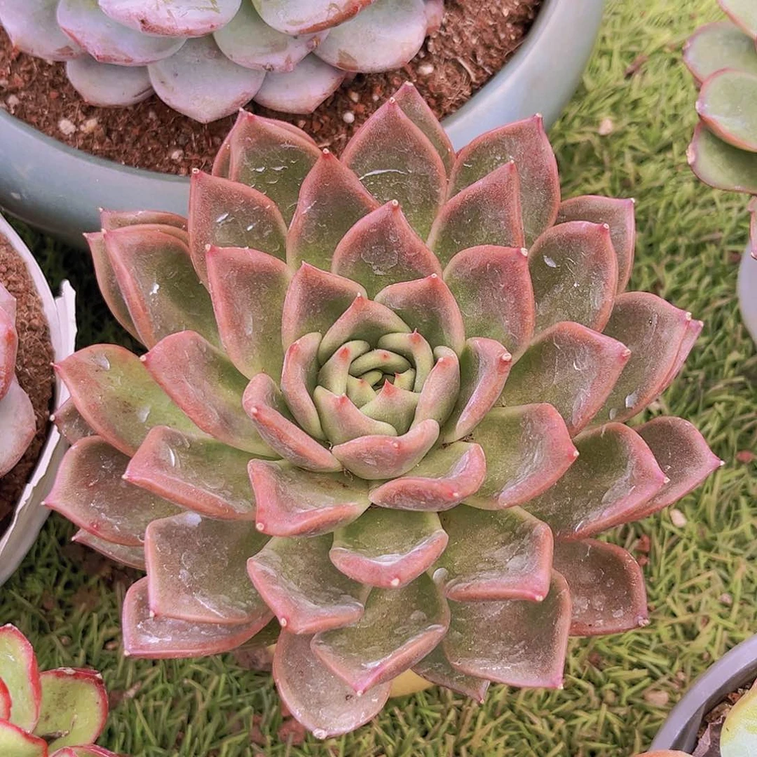 20号88989888888888888