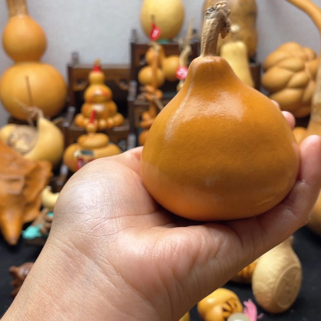 师*大自然的秘密第十节第一