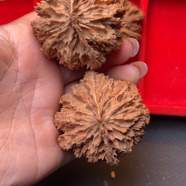 文玩核桃把件秦岭野生核桃