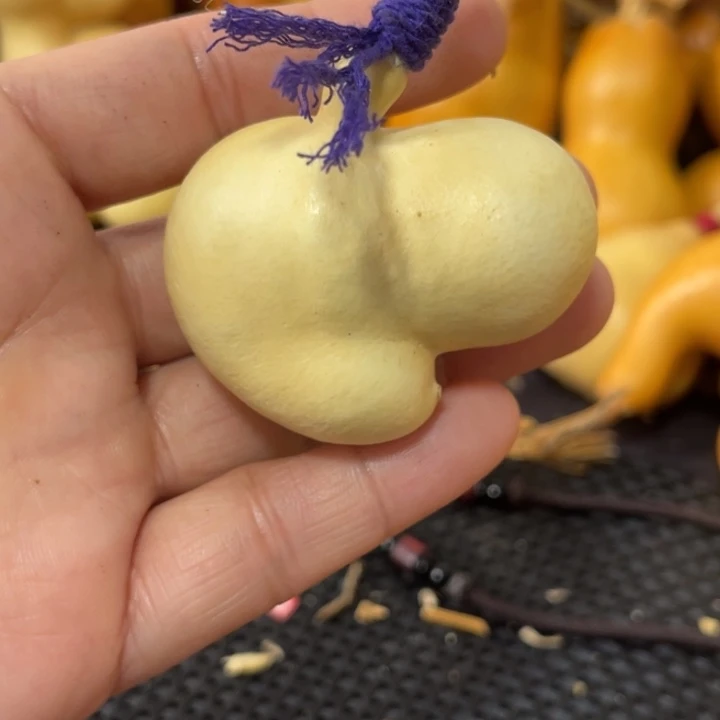 咕***噗葫芦哈哈哈哈哈哈哈哈