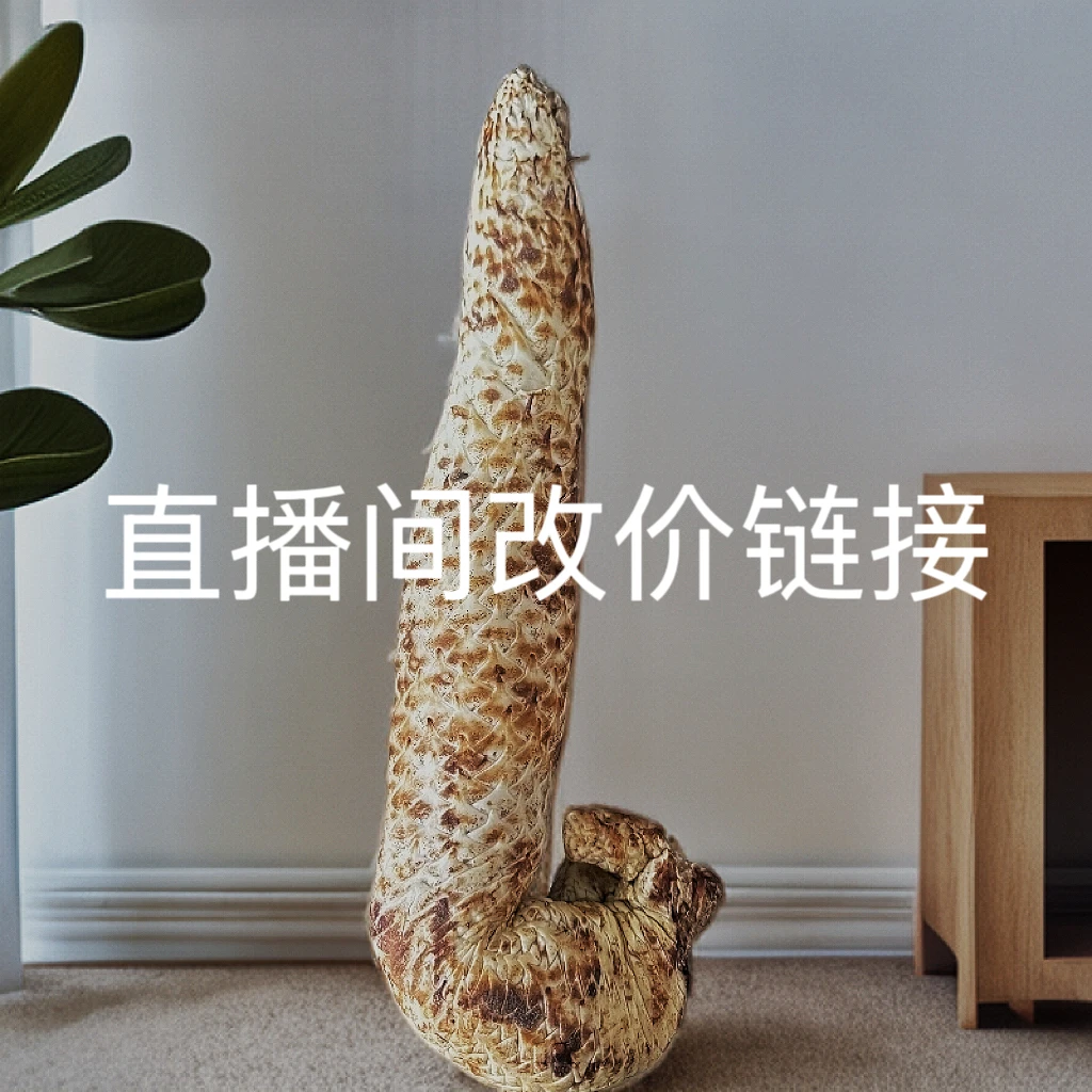 维央仅直播链接2号  新鲜秋季肉苁蓉3斤