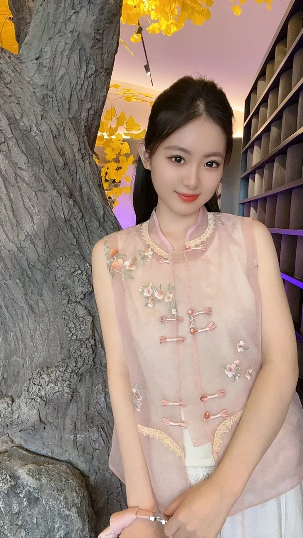 【之桃】夏季2025新款马甲女装新中式国风立领绣花薄款气质上衣马夹