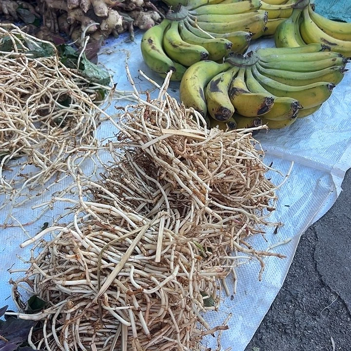 云南农家折耳根1份