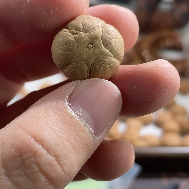 手串凤眼菩提尼泊尔小fy