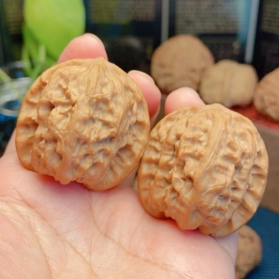 文玩核桃吊坠37全品野狼