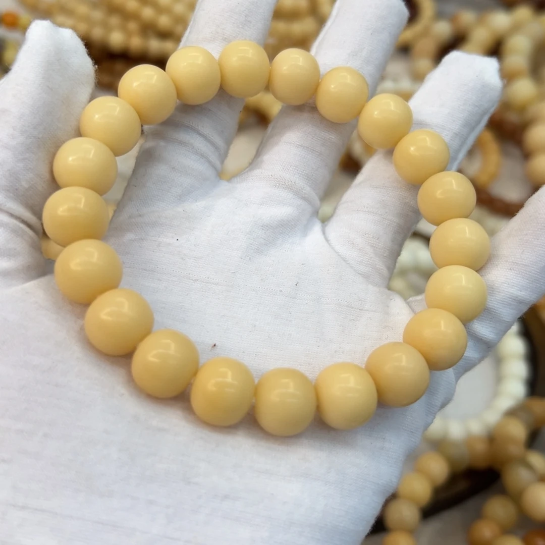 吊坠菩提根/象牙果13干磨树王758